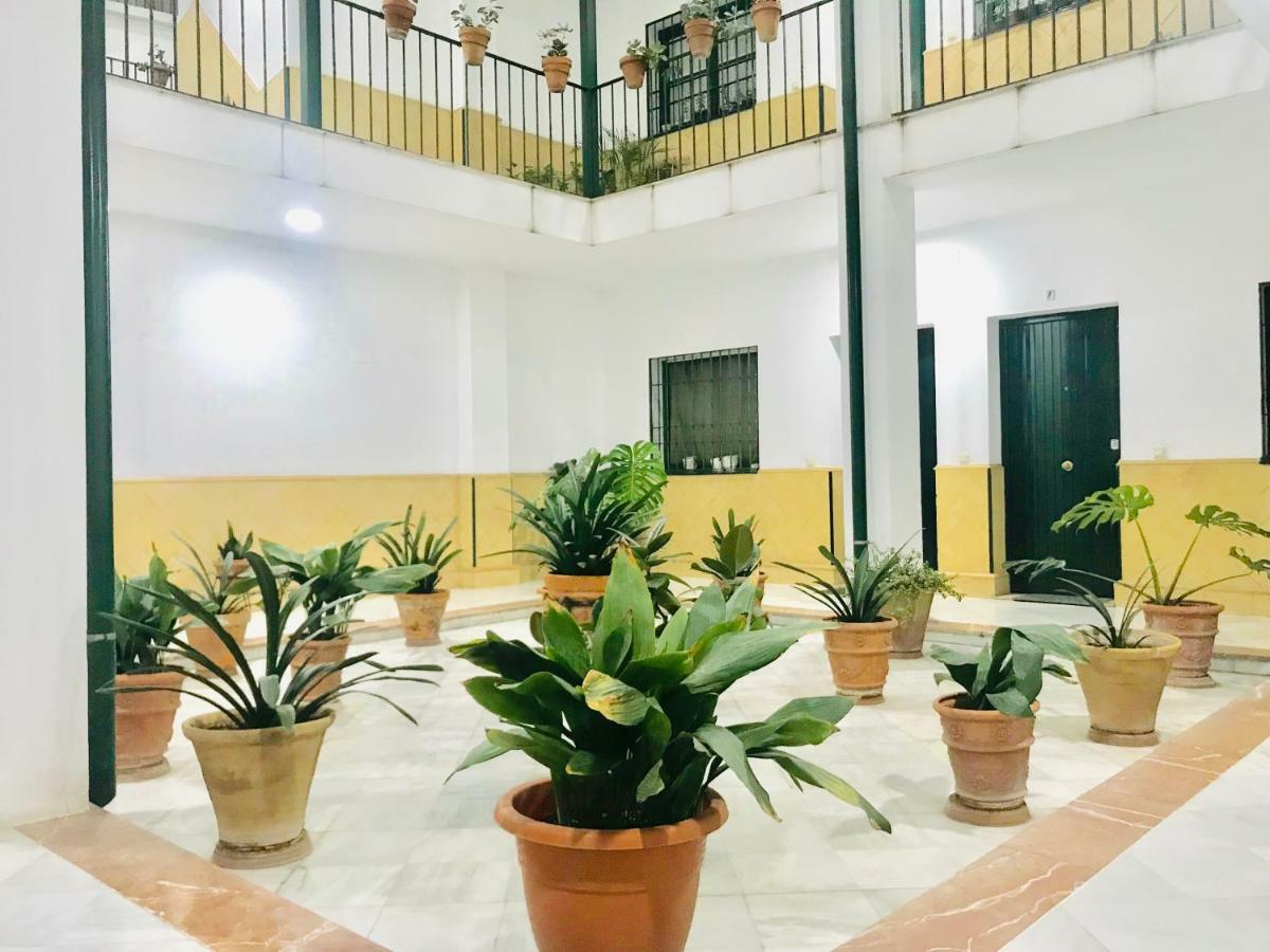 Los Patios De La Juderia Sevilla Exteriér fotografie