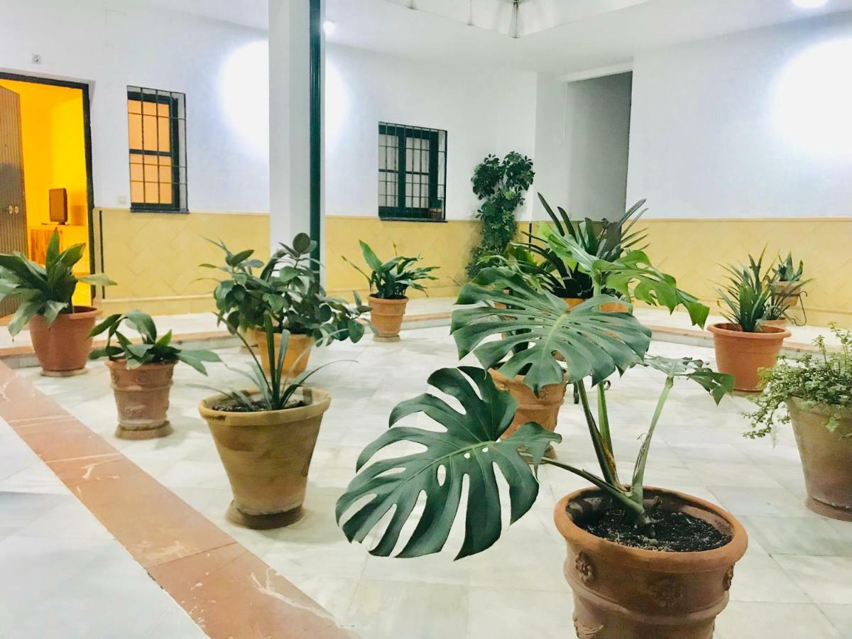 Los Patios De La Juderia Sevilla Exteriér fotografie